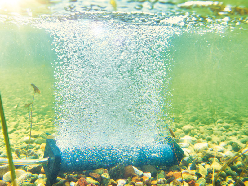 Nahaufnahme eines AquaOxy Belüfterstabes S von OASE