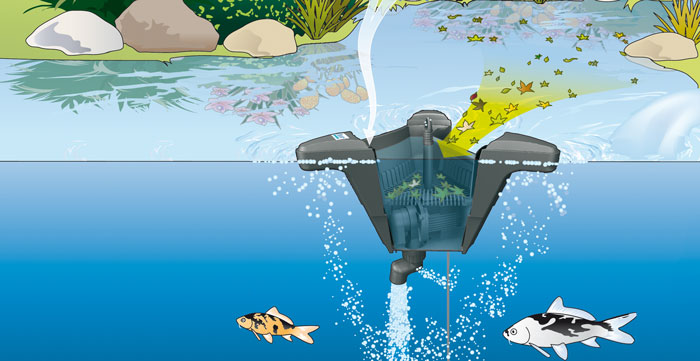 swimskim10