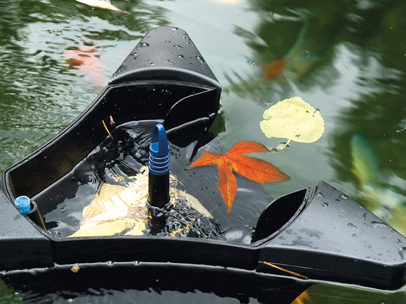 SwimSkim 50 mit einschwimmenden Blättern