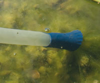 PondoVac Spezial-Fadenalgenduese im Einsatz