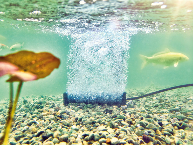Belüfterstab L von OASE im Teich