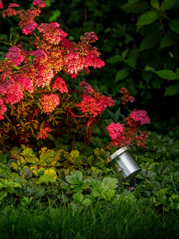 Spotstrahler Arigo beleuchtet bei Nacht Blumen in Garten