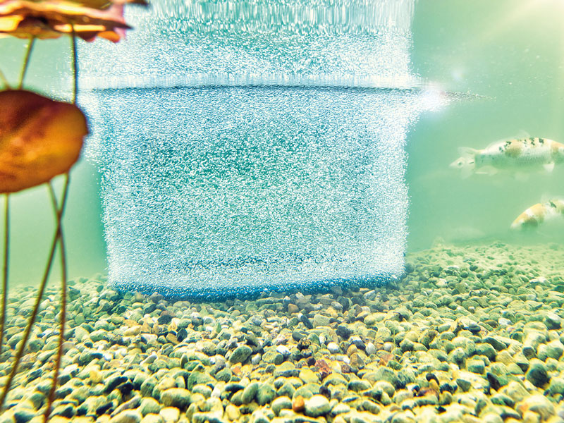 OASE AquaOxy Belüfterring D 60 cm im Teich