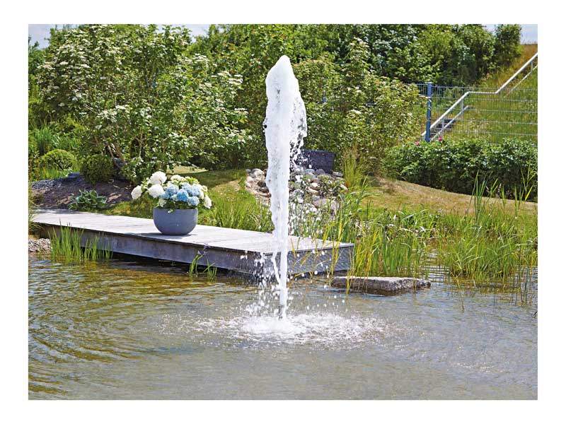 Hoher Schaumsprudler in ueppig bepflanztem Teich