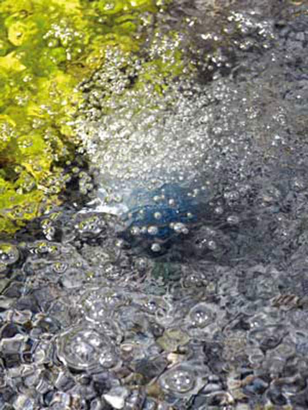 Belüftung AquaOxy 250 von OASE