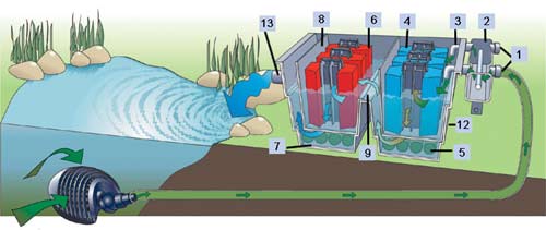 Schaubild Teichfilter