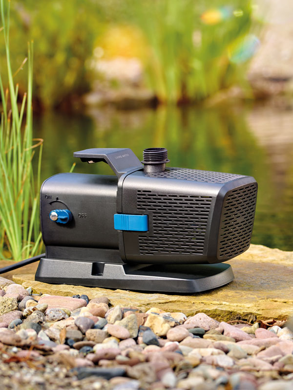 Teichpumpe Aquarius Eco Premium vor einem Gartenteich