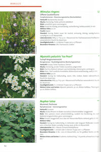 Handbuch ''Farne und Gräser'' Handbuch ''Farne und Gräser''