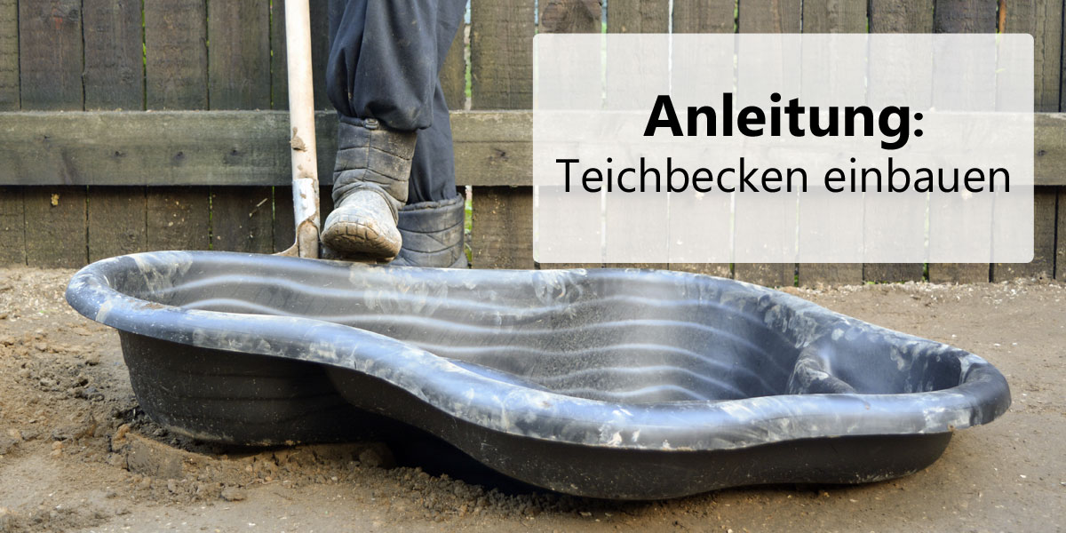 Anleitung: Teichbecken einbauen
