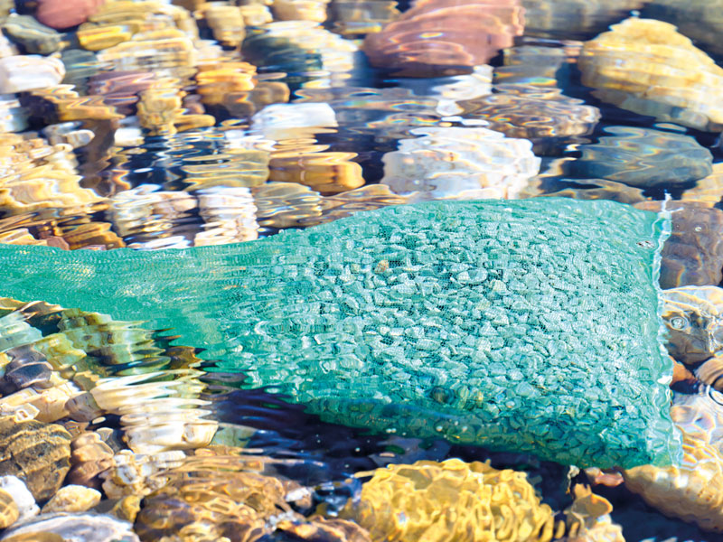 PondLith von OASE wird im Teich zur Filterunterstützung eingesetzt