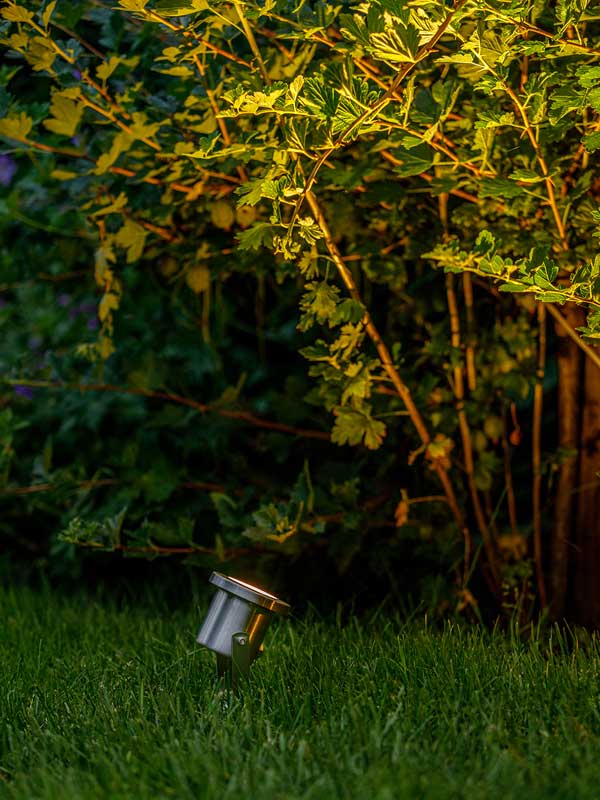 Spotstrahler Catalpa bei Nacht leuchtet einen Strauch an