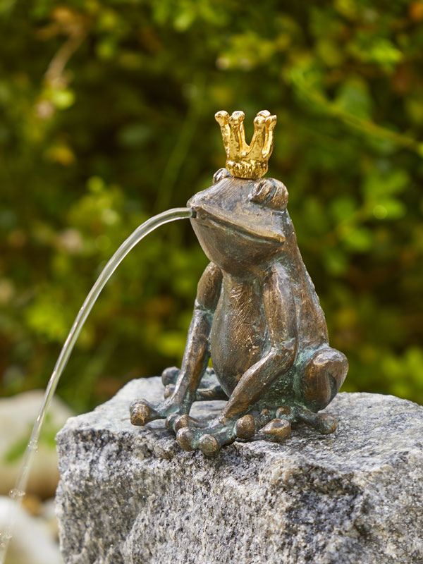 89017-froschkoenig Froschkönig Lars