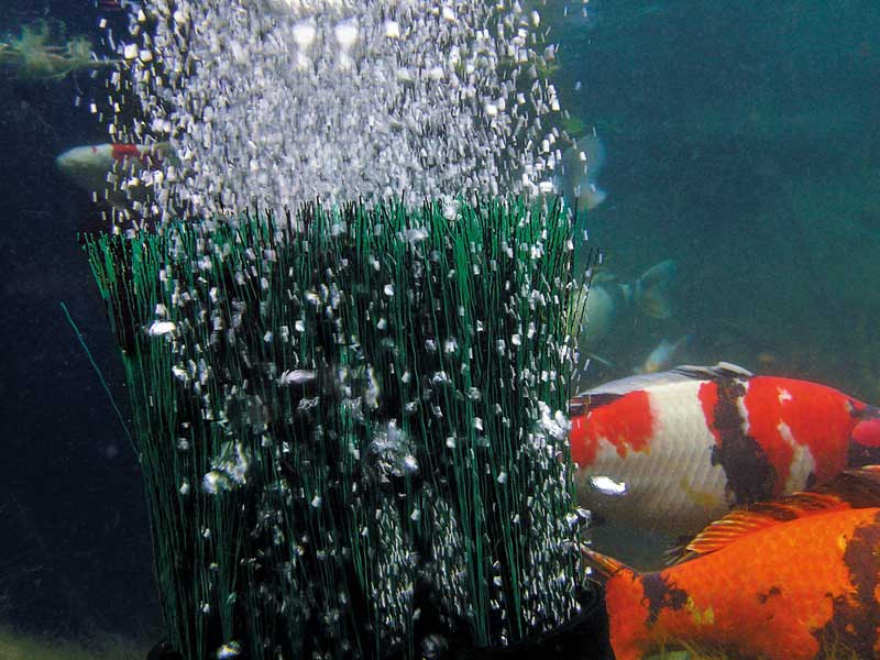 OASE OxyTex 1000 im Teich mit Fischen