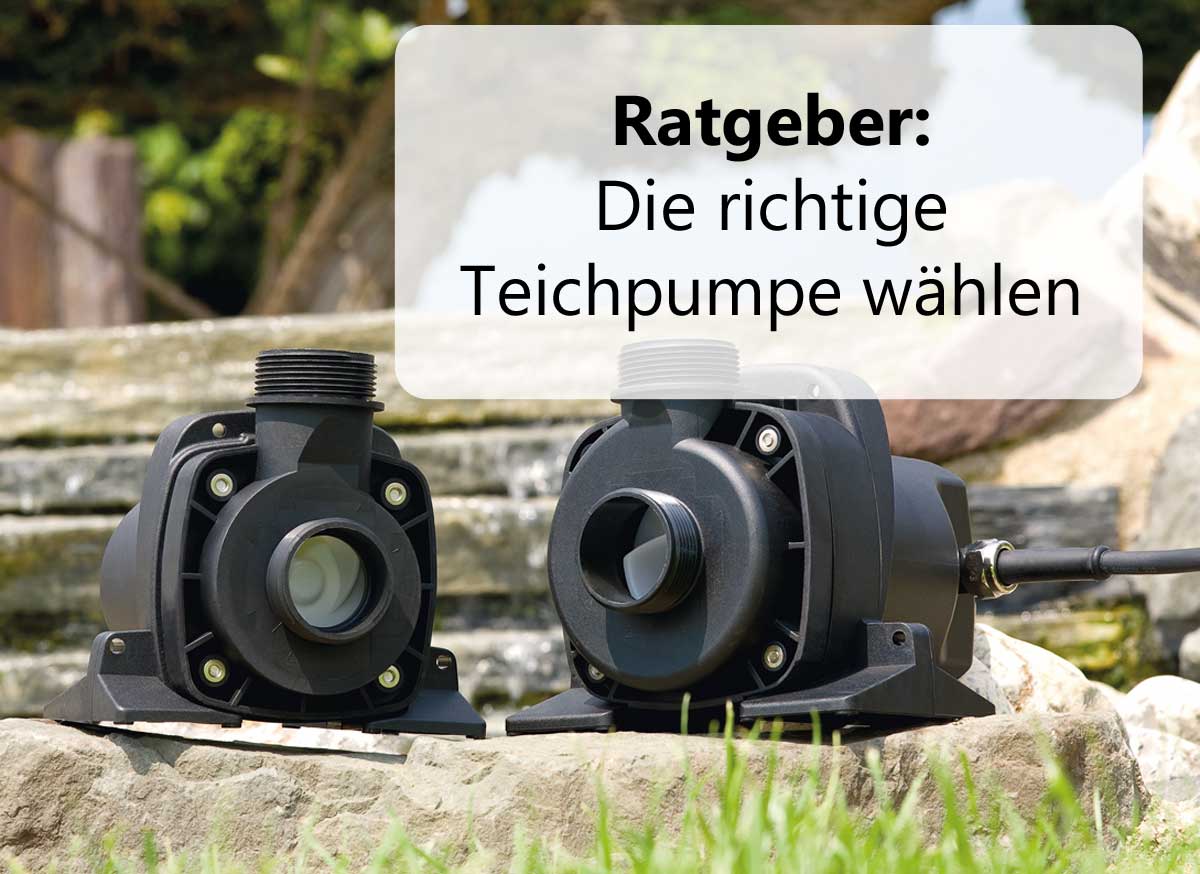 Ratgeber: Die richtige Teichpumpe waehlen