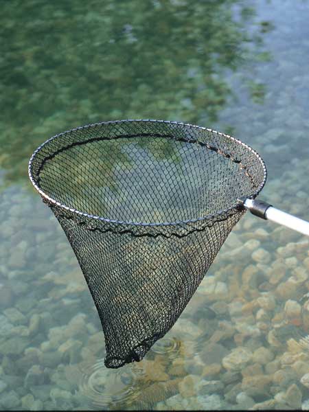 Fischkescher klein von Oase