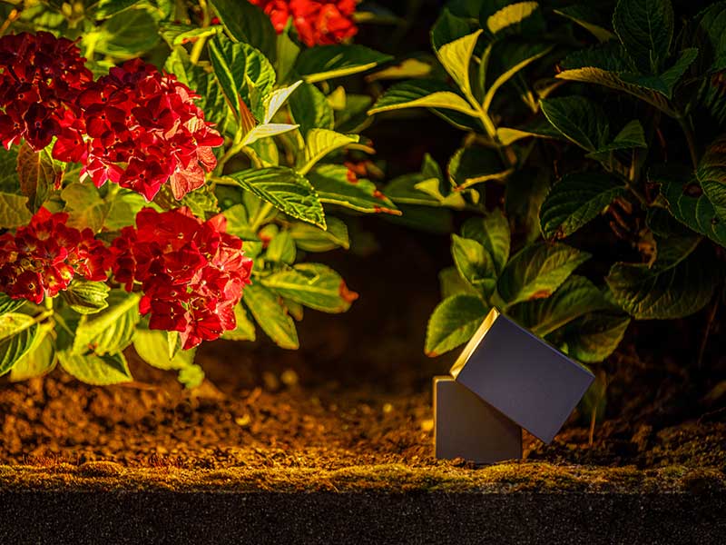 Spotstrahler Nano bei Nacht in Garten leuchtet auf eine Bluete