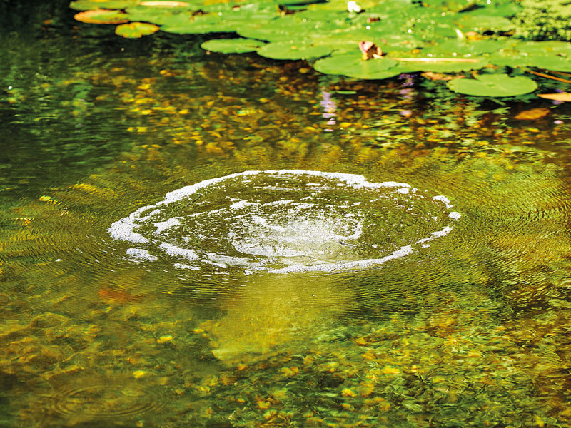 Belüfterstab L von OASE Ansicht im Teich
