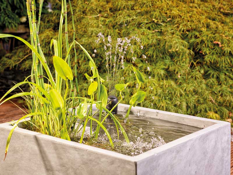 Unterwasserfilter Filtral 1500 in einem kleinen Terrassen-Teich mit Fontaene