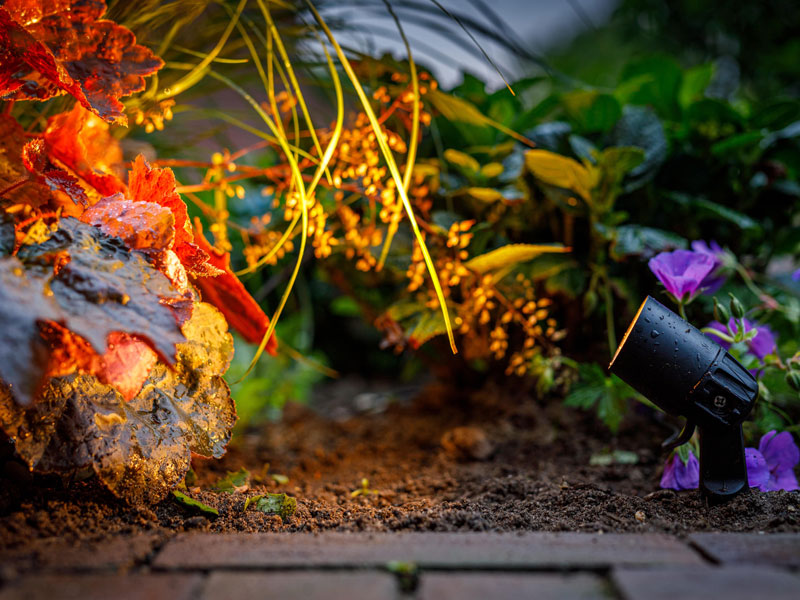 Spotstrahler Neso leuchtet bei Nacht ein Blumenbeet an