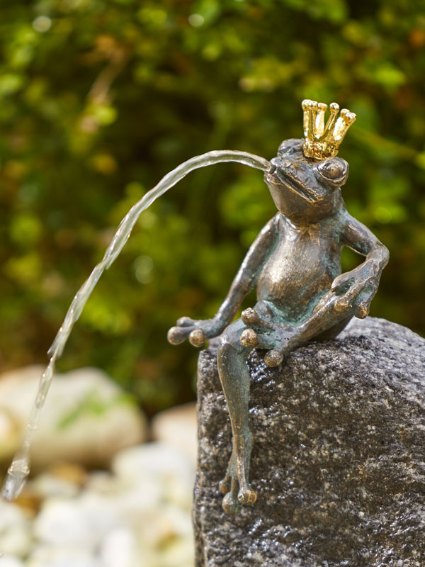 89016-froschkoenig Froschkönig sitzend