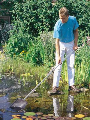Ein Mann kescht mit einem Algenkescher Laubblaetter aus dem Teich