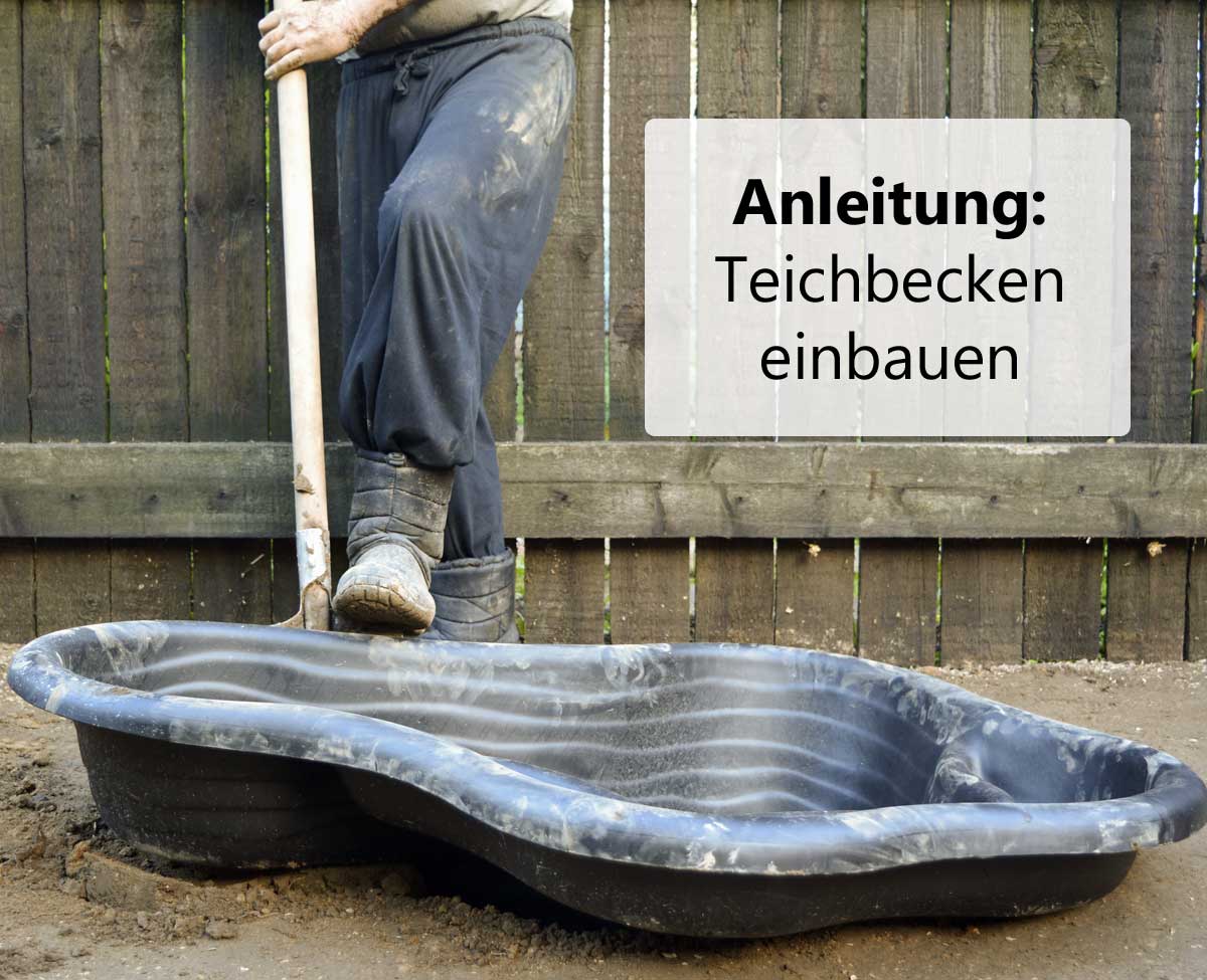Anleitung: Teichbecken einbauen