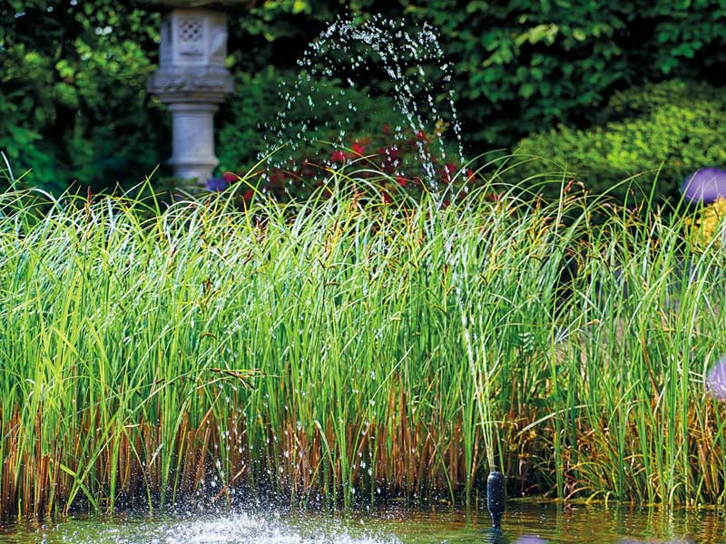 Aquarius Fountain Set Classic mit Magmaduese im Einsatz