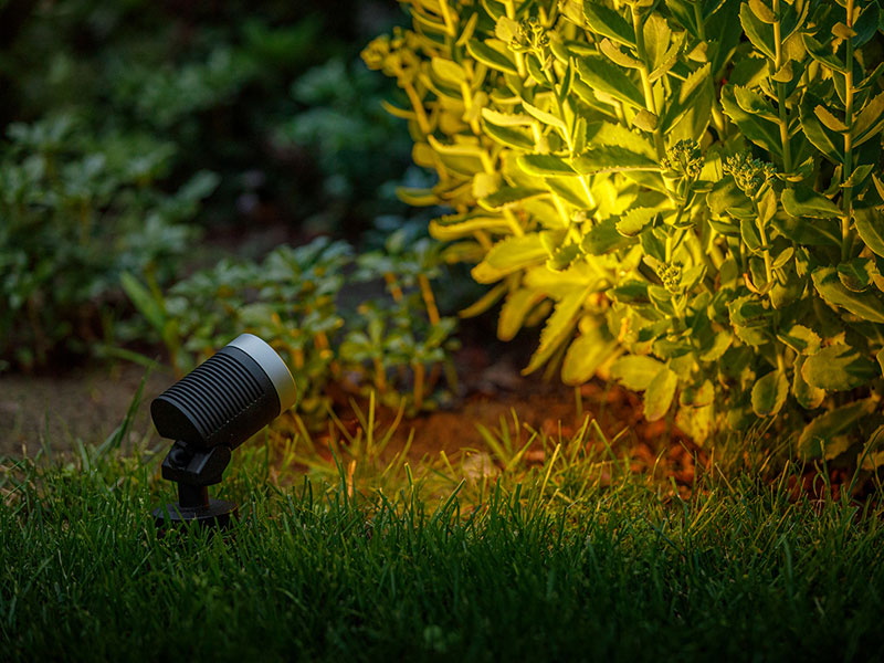 Spotstrahler Arcus leuchtet bei Nacht auf einen Strauch