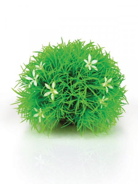 biOrb Gewächsball Gänseblümchen