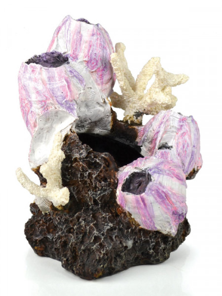 biOrb Seepflanzen-Ornament pink