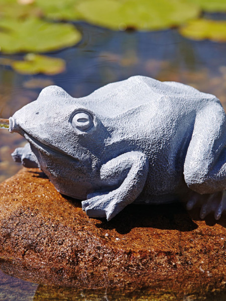 Wasserspeier Frosch seitlich