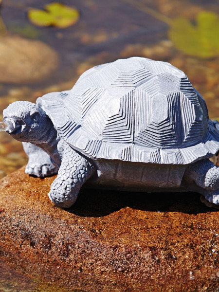 Wasserspeier Schildkröte seitlich