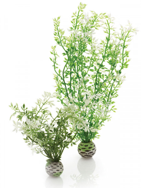 biOrb Winterblume-Set