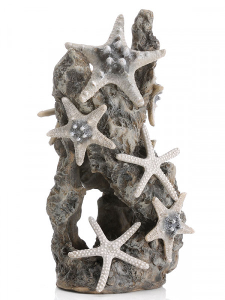 biOrb Seesternfelsen-Ornament