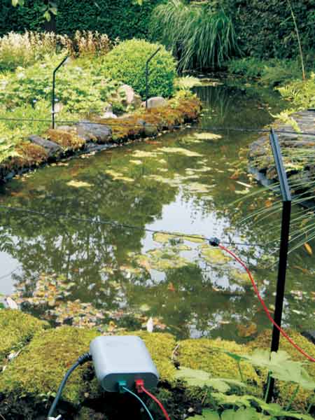 Pond Protector